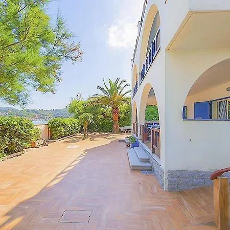 Medusa - Goelba